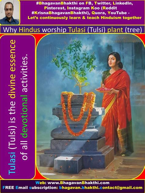 tulasi xx|Tulasi in Hinduism .